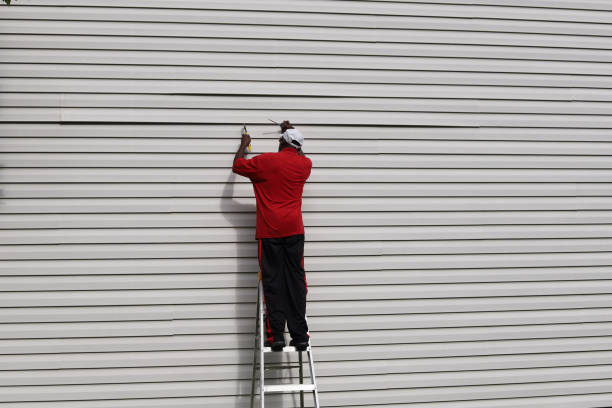 Best Siding for Commercial Buildings  in Pinch, WV