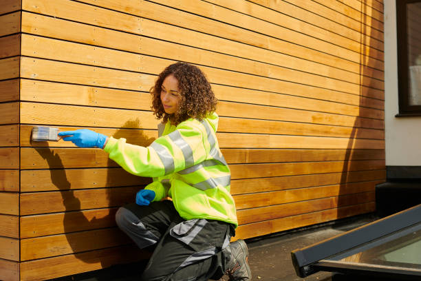 Best Fascia and Soffit Installation  in Pinch, WV